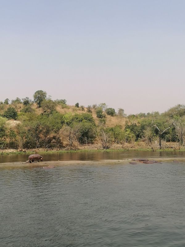 Wasserloch in Uganda